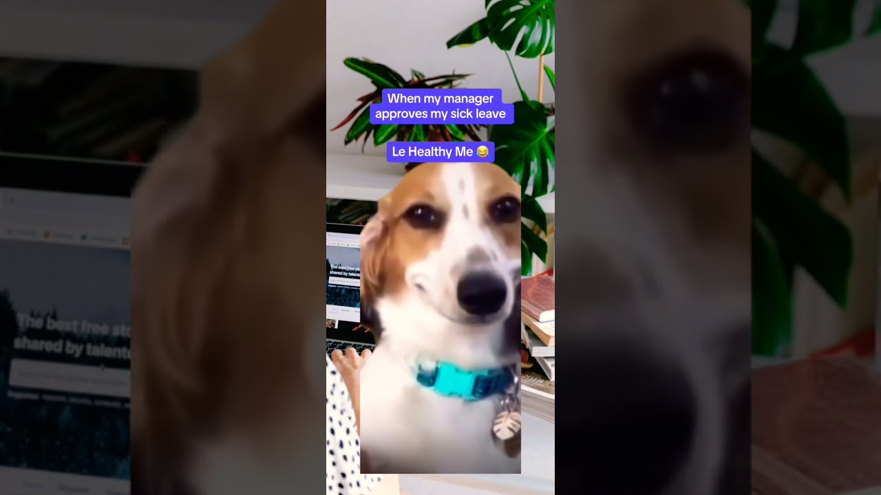 Sick Leave Joke 🤣 