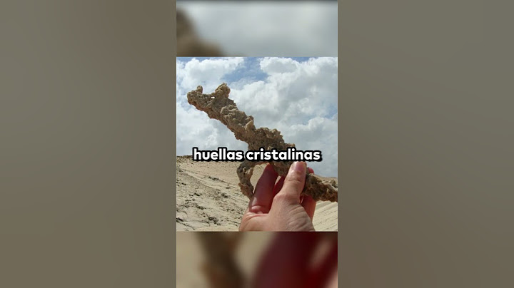 Rayos Petrificados!!