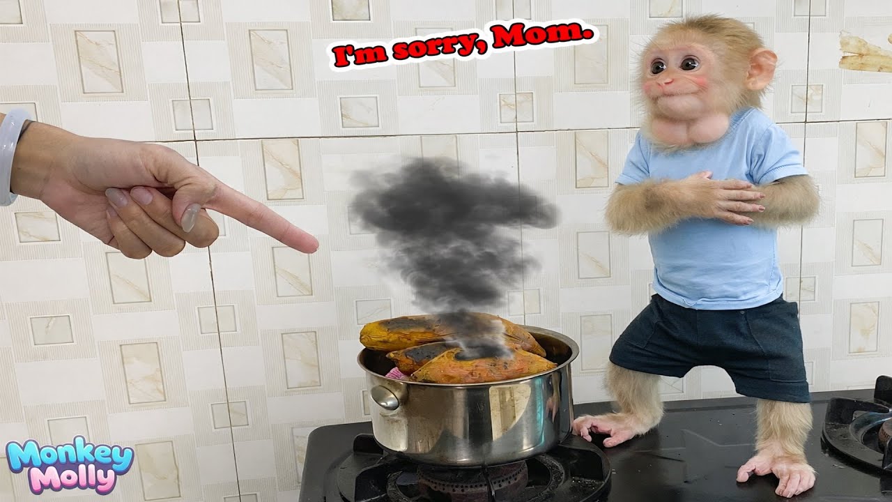 30 Days - Hilarious Incident: Molly the Monkey Burns Sweet Potatoes Because of a Stomachache.
