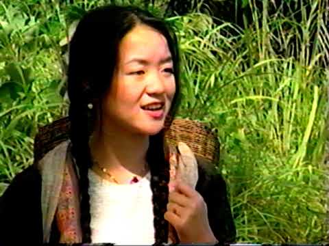 Hmong Movie Lauj Mas & Ntsum Lis