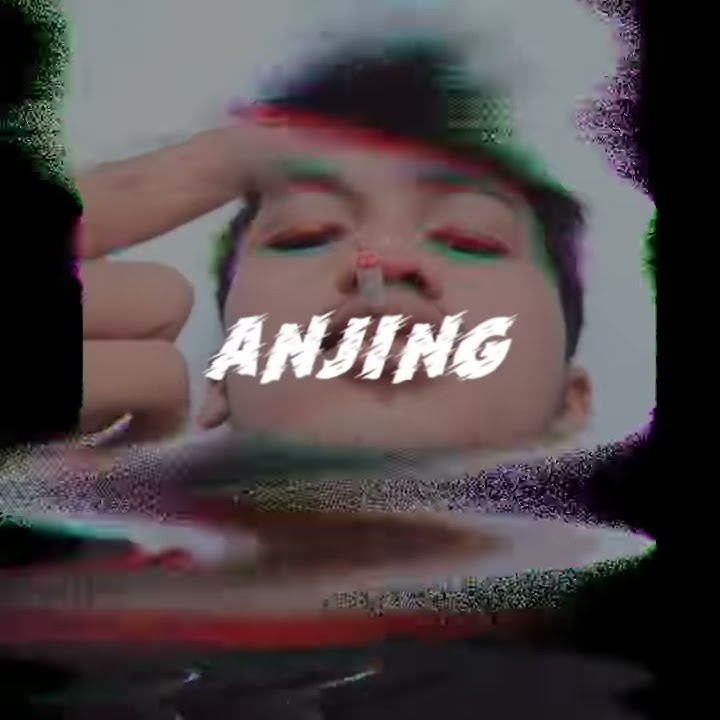 Story WA pusing ANJING 30 DETIK
