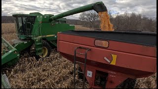 High Moisture Corn Harvest