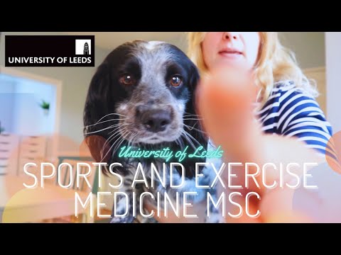 Sports and Exercise Medicine MSc at Leeds | modules, study days, how long I spend studying, + exams