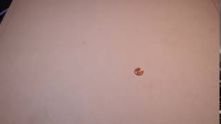 David Sainz Penny Slide