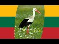 Lietuvos paukščiai: atspėk koks tai giesmininkas 2 ❓🐦