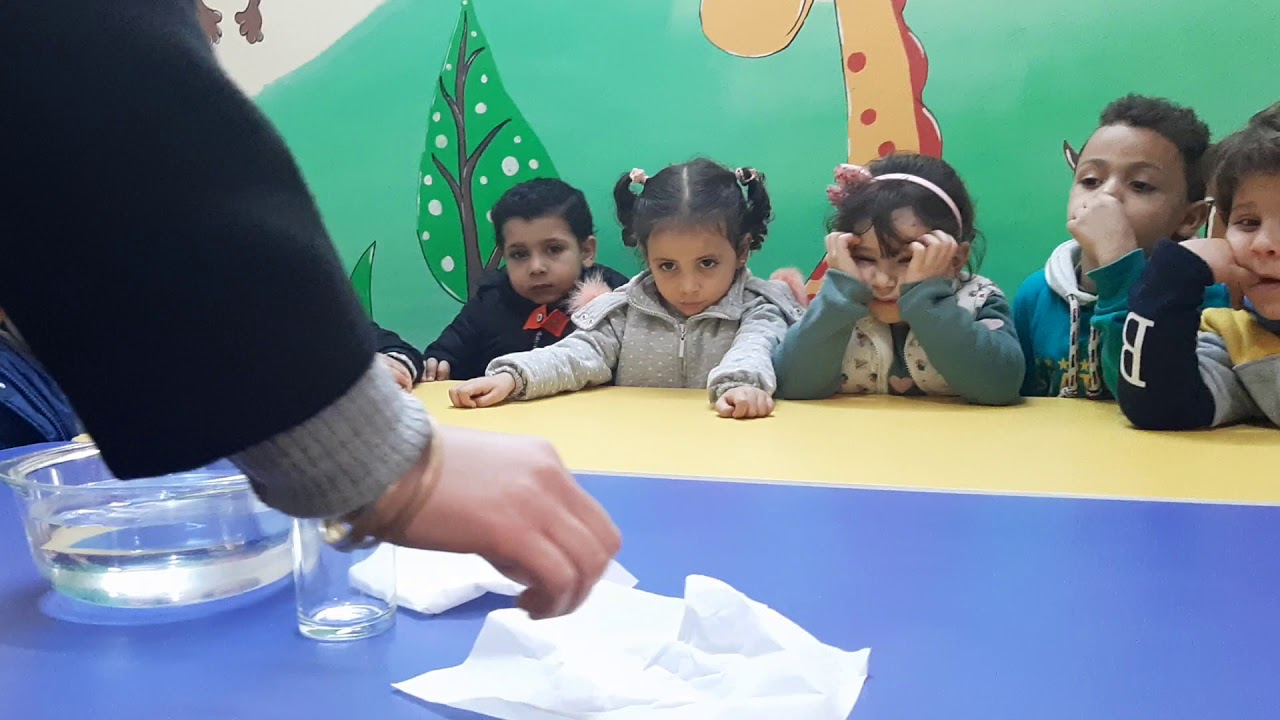 The magic tissue experiment 😍 YouTube