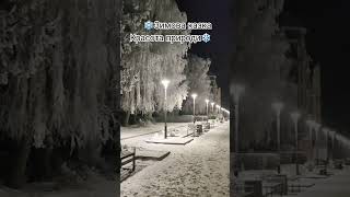 Чарівна Краса Зимової Природи❄️@Vasilin.