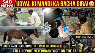 Achanak Dr. Sahib Ko Bulana Para! 🚨 Kajal Ghodi Ko Infection Aur Urial Maadi Ka Masla | Sad News