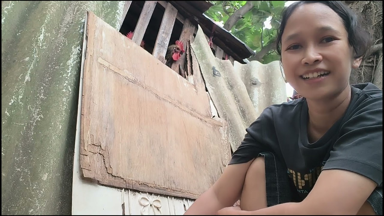 Menyembelih ayam,karena ayamnya sakit.‼️