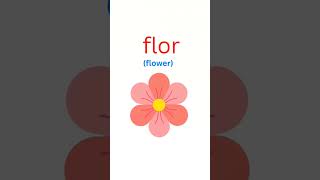 Full How to say / pronounce flower in Spanish -flor- Update