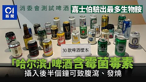 消委會啤酒｜哈爾濱驗出黴菌毒素可致噁心發燒　嘉士伯最多生物胺 ｜01新聞｜啤酒｜哈爾濱｜嘉士伯｜黴菌毒素｜消委會 - 天天要聞