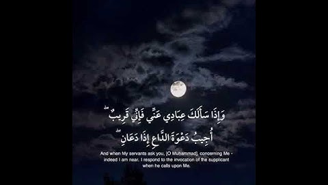 صوت مؤثر القارئ اسامه حمود قاسم