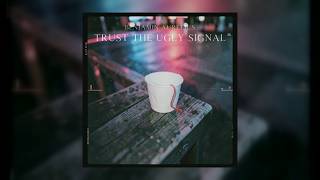 Benjamin Aurelius - Trust The Ugly Signal (Copyright Free) screenshot 5
