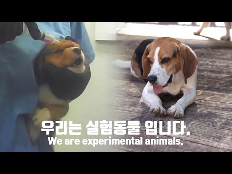 (Eng) 오늘도 당신을 위해 희생 당합니다 | 슈앤트리가 간다 [Ep.3]