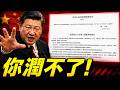 中共出境新規上路：護照在手也沒用！習近平一句話，連外國籍都能把你扣下？