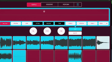 Koala + Drambo flip 70
