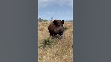 Kaban #rust #растмирейд #ruster