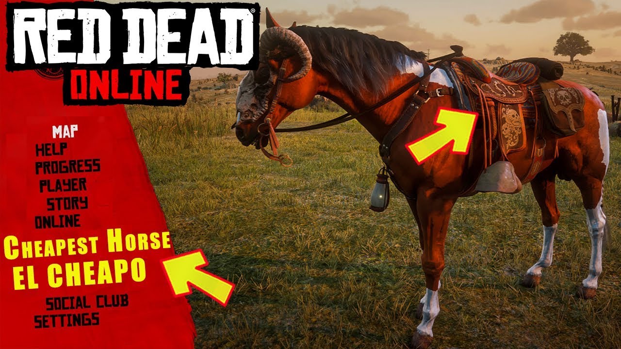 WHY I RIDE THE CHEAPEST HORSE IN RED DEAD ONLINE ITS ALL WHY I RIDE THE CHEAPEST HORSE IN RED DEAD ONLINE ITS ALL