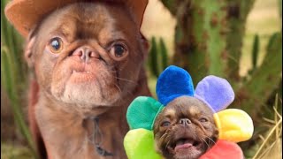 What doesn’t kill you makes you stronger 😂