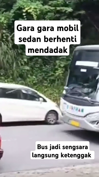 Gara gara mobil sedan berhenti mendadak❗bus jadi sengsara langsung ketenggak