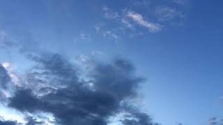 O Frondens Virga (H. von Bingen) / Quand je menais mes chevaux boire (trad. français)