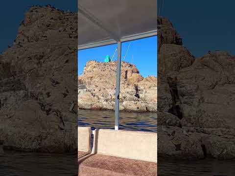 بلاد طيبة مقابر النبلاء بأسوان   