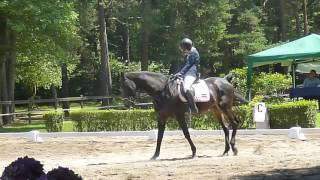 Freestyle Cpedi Somma Lombardo 2017