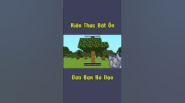 Khi Tôi Có Đứa Bạn Siêu Bất Ổn Trong Minecraft #shorts