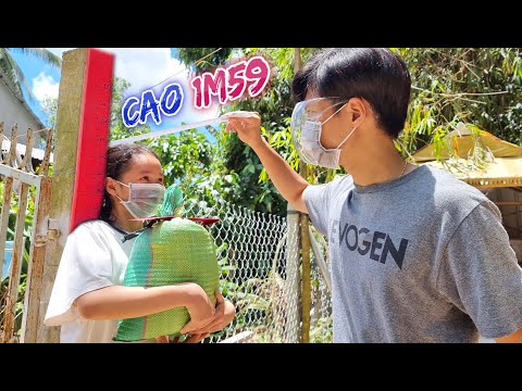 Video: Thành Viên Gia đình - Chuột Lang