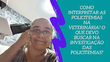 O que causa policitemia em cães?
