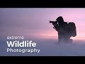 Wildlife Photography Expedition | Behind the scenes in Greenland with photographer Morten Hilmer