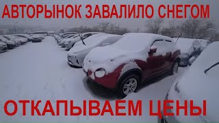 АВТОРЫНОК ЗЕЛЕНЫЙ УГОЛ ЗАВАЛИЛО СНЕГОМ  ЦЕНЫ НА АВТОМОБИЛИ видео