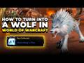Transform any World of Warcraft class into a Wolf
