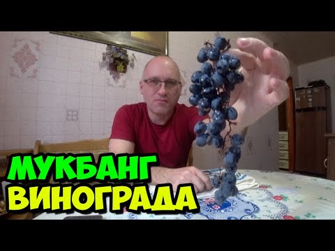 October 23, 2025: A colleague's birthday || Pizza at work || Grape tasting at home