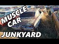 MUSCLE CAR JUNKYARD - Iowa Salvage Yard Full of Rusty Camaros, Impalas, Mustangs, etc!