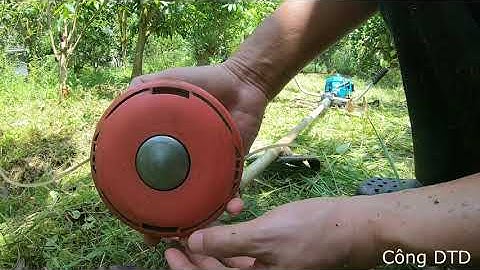 Cắt Cỏ Vườn Bằng Dây Cước Hiệu Quả Thật Bất Ngờ