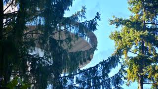 The Universe Of Pictures, Part 2, With Motion (Fragments, Part 2 301)
