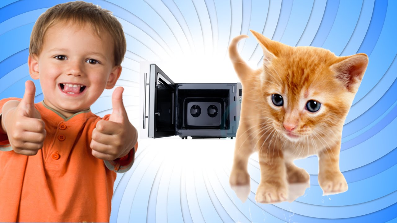 I Put My Cat In The Microwave Hilarious Kid Trolling Csgo Youtube