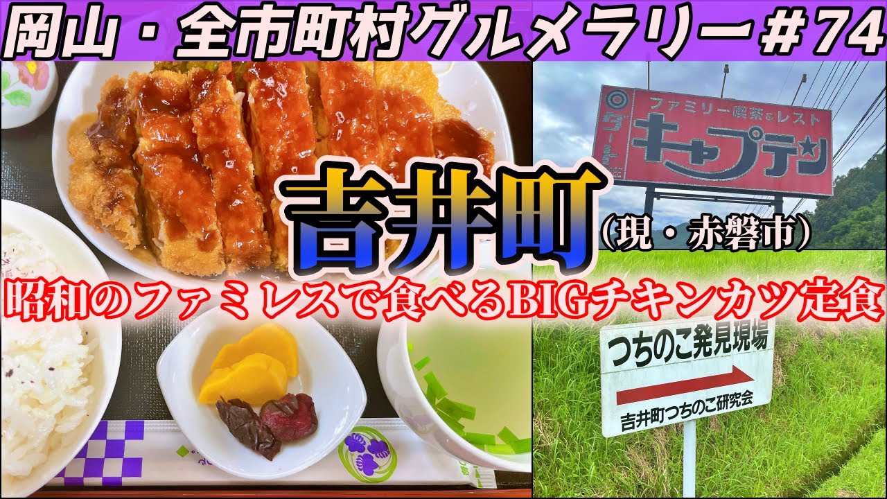 未確認生物ツチノコが生息する町で食べるコスパ最強のわらじチキンカツ定食【岡山・全市町村グルメラリー#74】NC750Xﾓﾄﾌﾞﾛｸﾞ