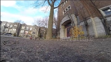 Squirrel steals GoPro and carries it up a tree...in Ed, Edd n Eddy style