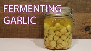 Fermenting Garlic | Fermented Homestead