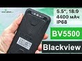 Blackview BV5500 - Обзор по полной, не жалели!