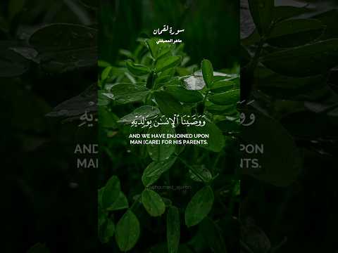 ووصينا الإنسان بوالديه حملته أمه وهنا على وهن ماهر المعيقلي 