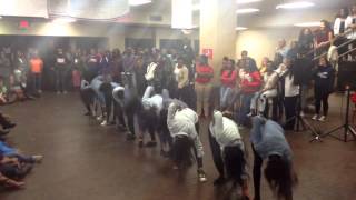Lambda Theta Chapter of Alpha Kappa Alpha Sorority, Inc. - Clemson NPHC Stroll Off 2013 - Round 2
