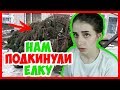 СОСЕДИ НАМ ПОДКИНУЛИ ЕЛКУ!  Война с соседями