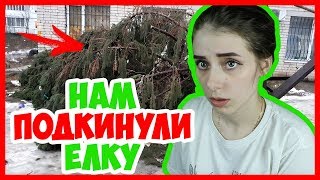 СОСЕДИ НАМ ПОДКИНУЛИ ЕЛКУ! Война с соседями