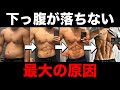【浮き輪肉撃退】お腹の脂肪が落ちない最大の原因を徹底解説します
