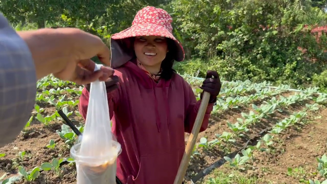 Beef noodle soup is on the breakfast menu for my wife today!