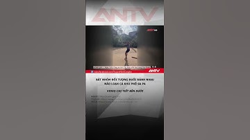 Toàn cảnh vụ "Anh Khàn" và 6 đối tượng lao vào ẩu đả tại khách sạn Sapa #antv #shorts