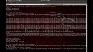 Backtrack 5 Tutorial - Lanmap2